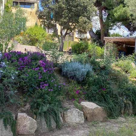 아파트 Grand Avec Jardin Et Proche De La Mer *